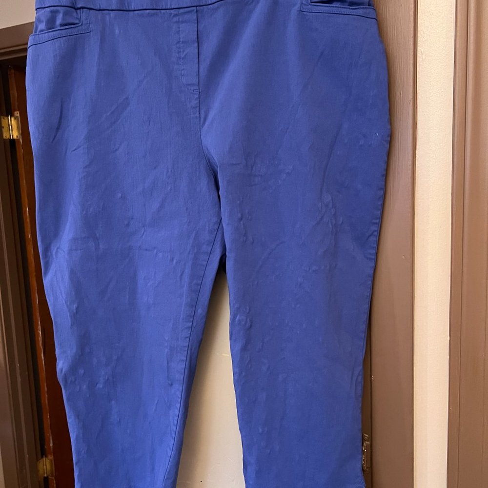 Prophecy Periwinkle Pull-on Capris - Size 20@
